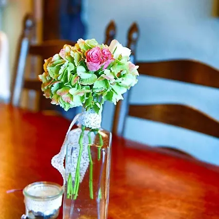 Insel-land-hotel Michaelsen -boutique Hotel- Im Ostland Mit Yoga U Sauna Hotel Borkum