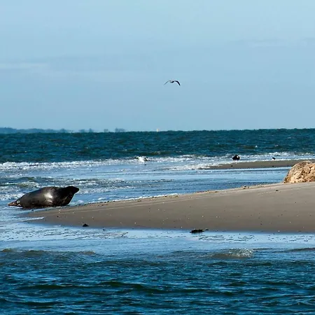 Insel-land-hotel Michaelsen -boutique Hotel- Im Ostland Mit Yoga U Sauna Hotel