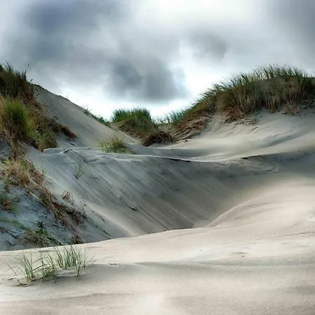 Insel-land-hotel Michaelsen -boutique Hotel- Im Ostland Mit Yoga U Sauna Borkum