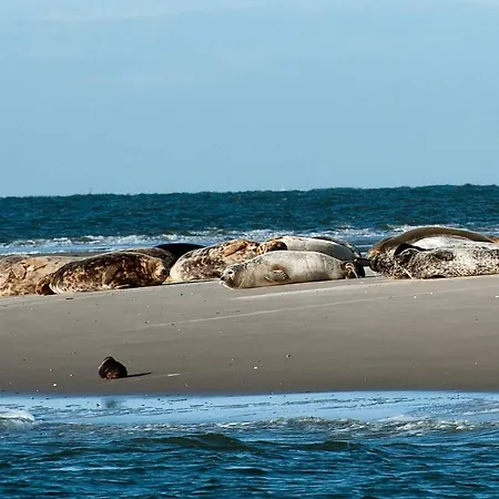 Insel-land-hotel Michaelsen -boutique Hotel- Im Ostland Mit Yoga U Sauna Borkum