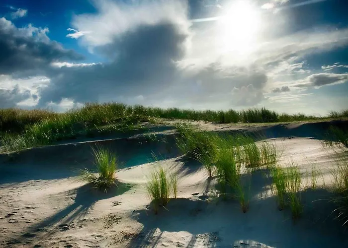 Insel-land-hotel Michaelsen -boutique Hotel- Im Ostland Mit Yoga U Sauna 3* Borkum