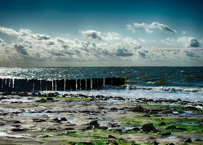 Insel-land-hotel Michaelsen -boutique Hotel- Im Ostland Mit Yoga U Sauna Hotel Borkum